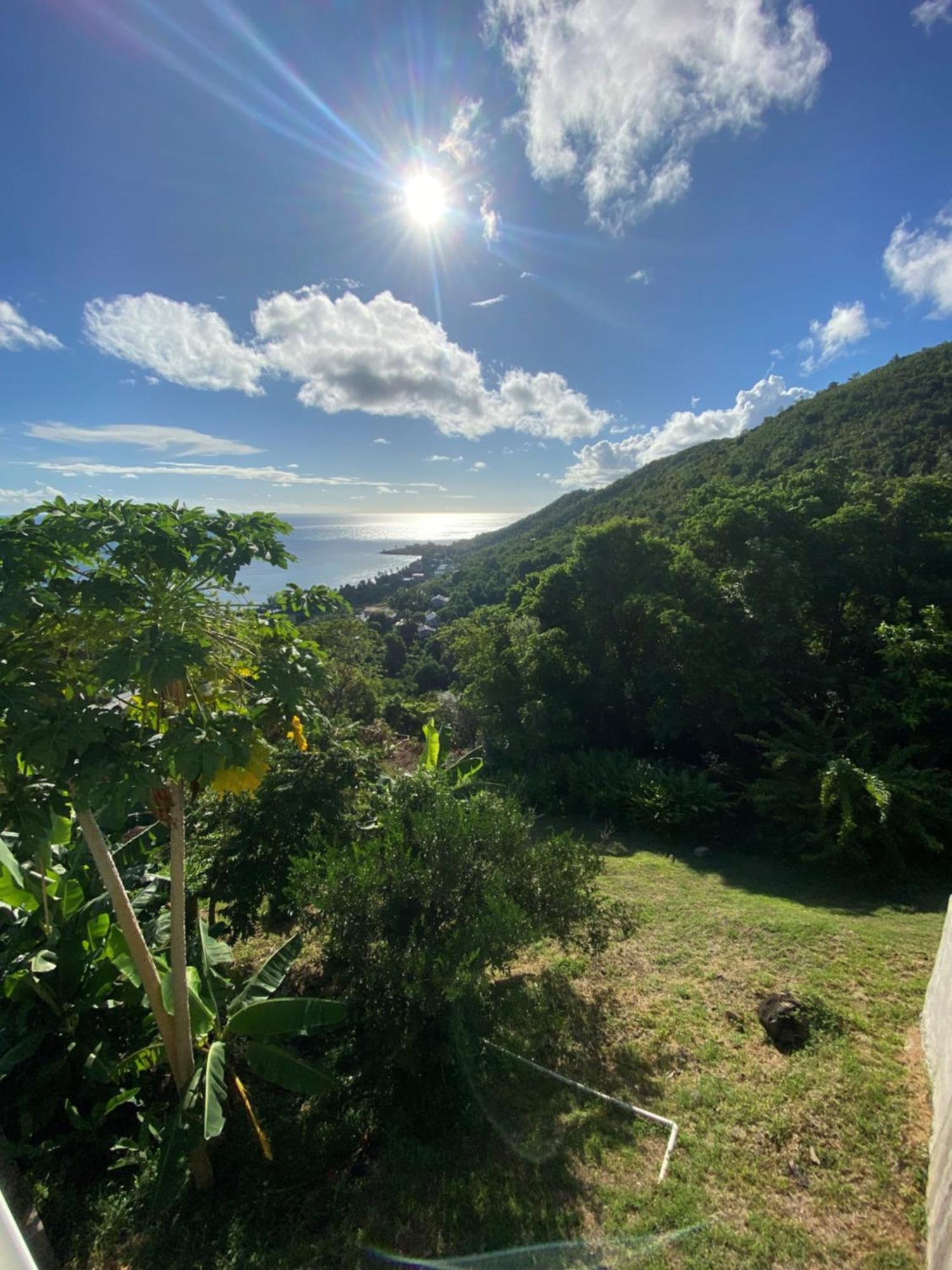 Greenhouse On The Hill, Sea View Studio Apartment Laborie Eksteriør billede